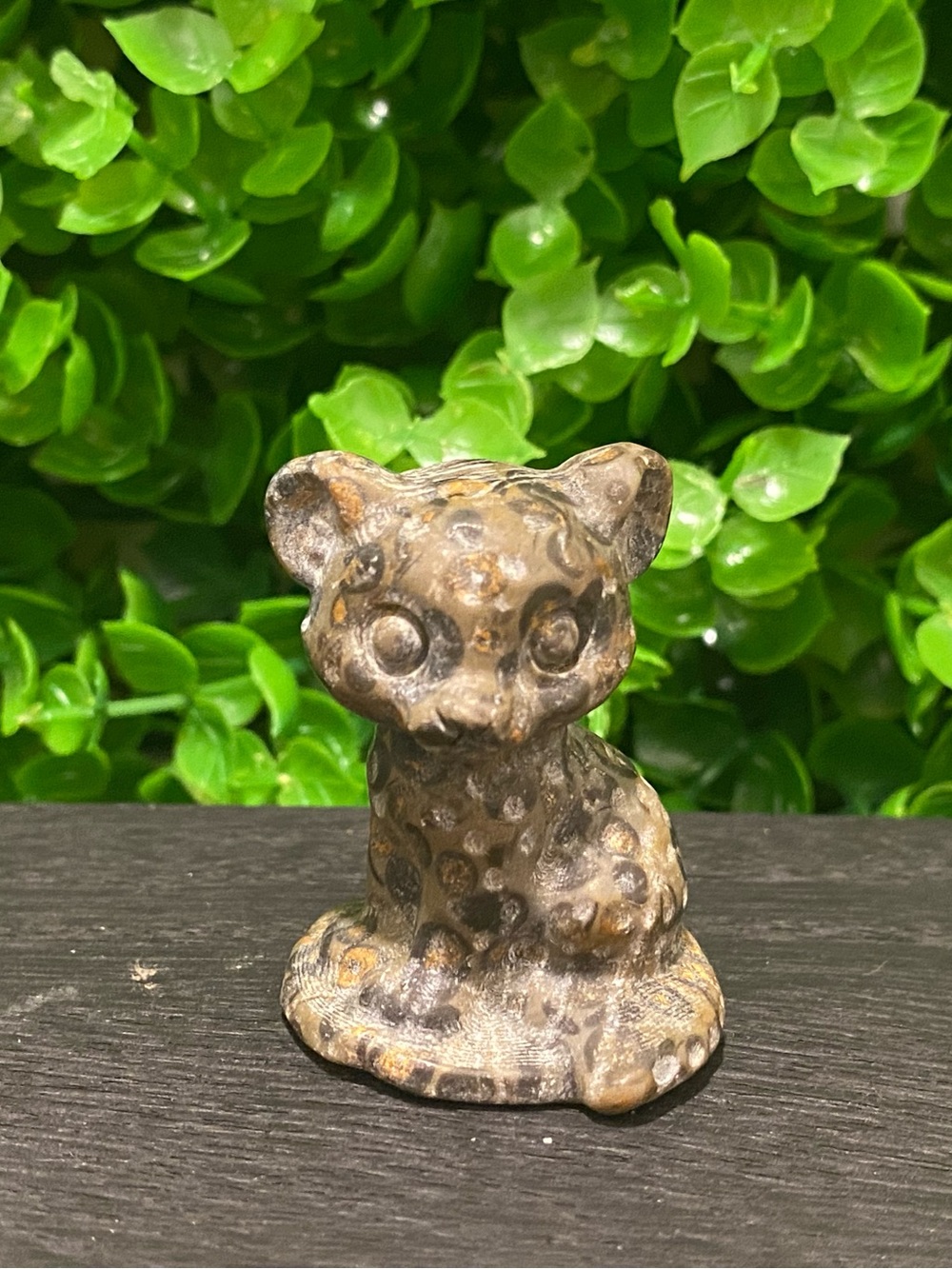 Jasper leopard craving